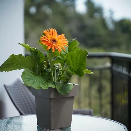 Ingreen Potamia (Thasos)