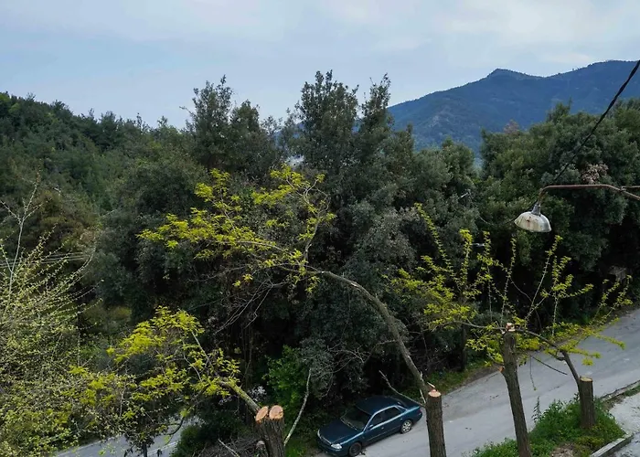 Διαμέρισμα Ingreen