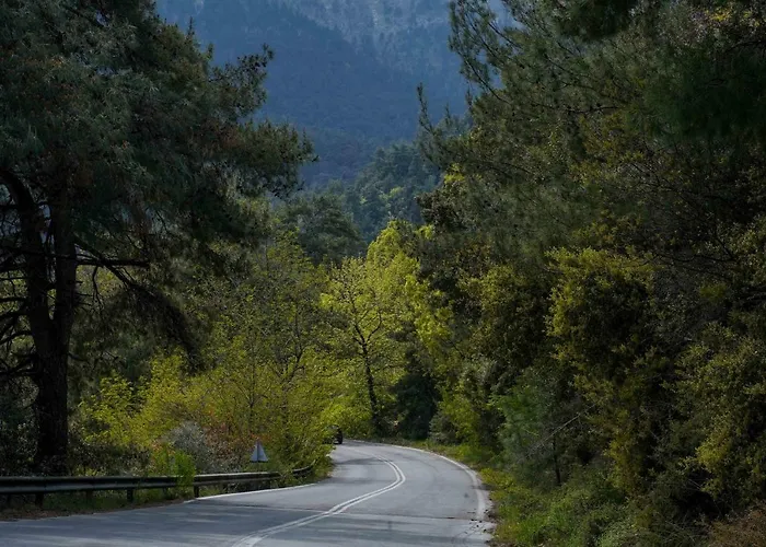 Διαμέρισμα Ingreen