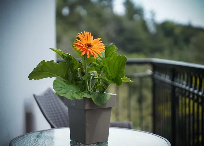 Ingreen Ποταμιά